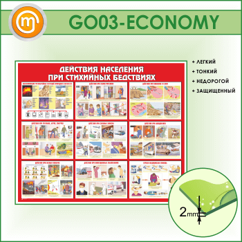 ����� ��������� ��������� ��� ��������� ���������� (GO-03-ECONOMY)