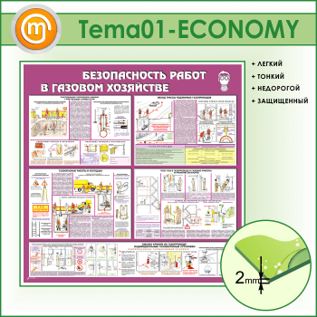 ����� ������������� ����� � ������� ��������� (TM-01-ECONOMY)