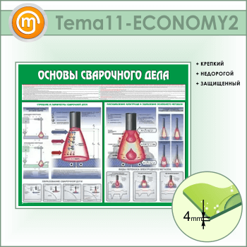 ����� ������� ���������� ���� (TM-11-ECONOMY2)