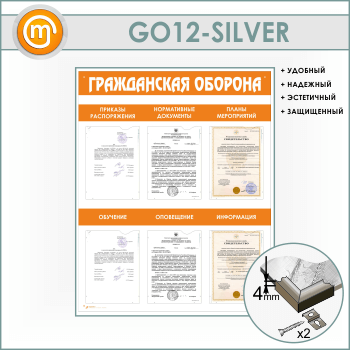 ����� ������������ ������� � 6 �������� ��������� (GO-12-SILVER)