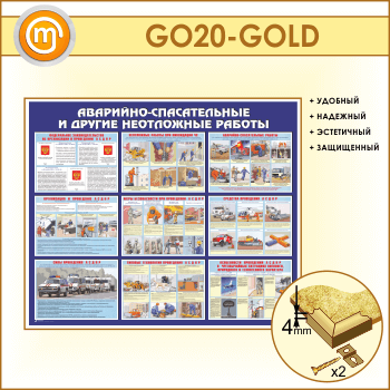 ����� ���������-������������ � ������ ���������� ������� (GO-20-GOLD)