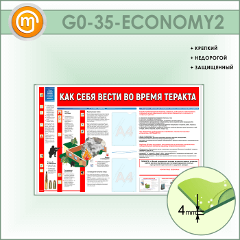 ����� ���� ���� ����� �� ����� ������� c 2 ��������� (GO-35-ECONOMY2)