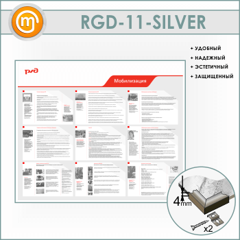 ����� ������������� (RGD-11-SILVER)
