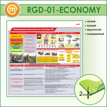 ����� ����������� ��������� �� �������� �λ (RGD-01-ECONOMY)