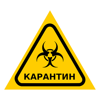Знак «Карантин», Q13.6 (металл, сторона 150 мм)