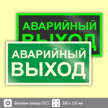 Знак E23 «Указатель аварийного выхода» (фотолюминесцентная пленка ГОСТ 34428-2018, 300х150 мм)