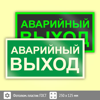 Знак E23 «Указатель аварийного выхода» (фотолюминесцентный пластик ГОСТ 34428-2018, 250х125 мм)