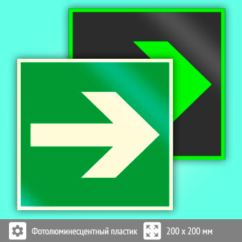Знак E02-01 «Направляющая стрелка» (фотолюминесцентный пластик, 200х200 мм)