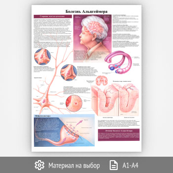 ������ �������� ����������� (���-22, 1 ����)