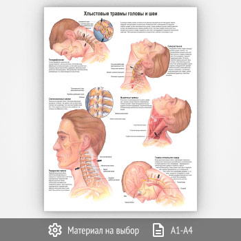 ������ ���������� ������ ������ � ��� (���-44, 1 ����)