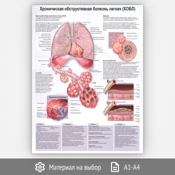 ������ ������������ ������������� ������� ������ (����)� (���-49, 1 ����)