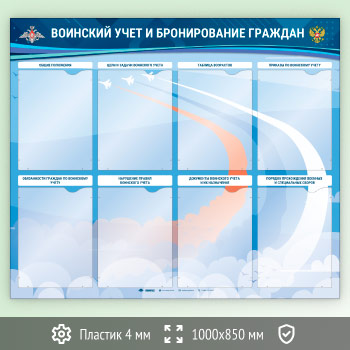 ����� ��������� ���� � ������������ �������� � 8 ��������� �4 ������� (VU-8K-R-ECONOMY2)